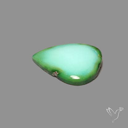 Sonoran Gold Turquoise Cabochon Rare