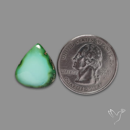 Sonoran Gold Turquoise Cabochon Rare