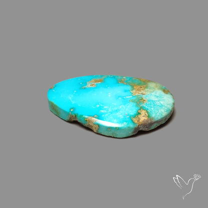 Sonoran Gold Turquoise Cabochon Rare