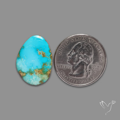 Sonoran Gold Turquoise Cabochon Rare