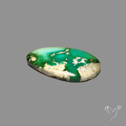 Sonoran Gold Turquoise Cabochon Rare