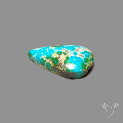 Sonoran Gold Turquoise Cabochon Rare