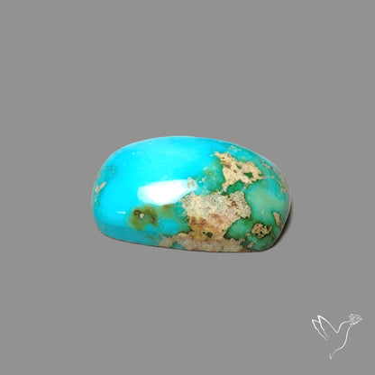 Sonoran Gold Turquoise Cabochon Rare