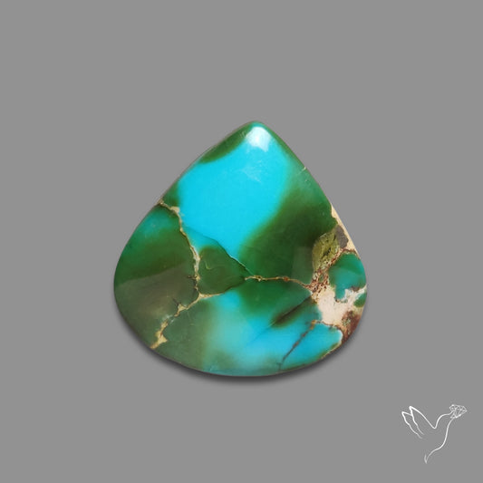 Sonoran Gold Turquoise Cabochon Rare