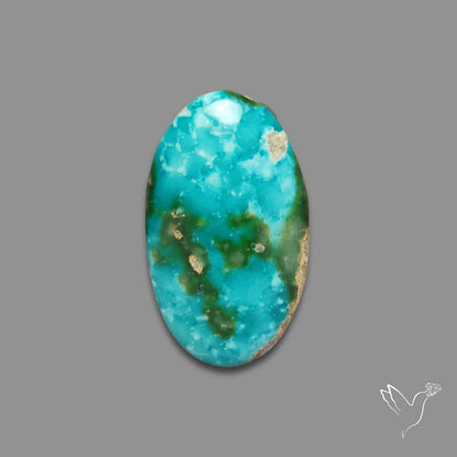 Sonoran Gold Turquoise Cabochon Rare