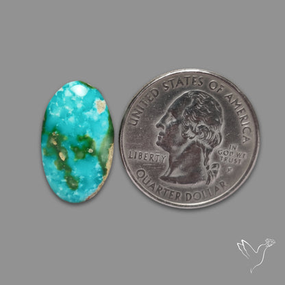 Sonoran Gold Turquoise Cabochon Rare