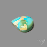 Sonoran Gold Turquoise Cabochon Rare