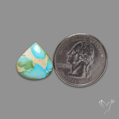 Sonoran Gold Turquoise Cabochon Rare