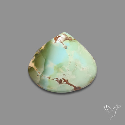 Sonoran Gold Turquoise Cabochon Rare