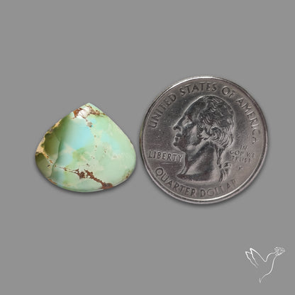 Sonoran Gold Turquoise Cabochon Rare