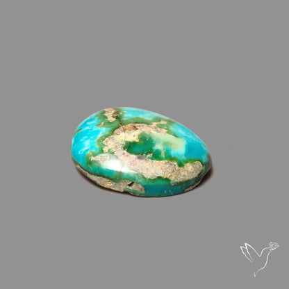 Sonoran Gold Turquoise Cabochon Rare