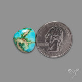 Sonoran Gold Turquoise Cabochon Rare