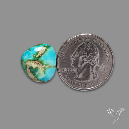 Sonoran Gold Turquoise Cabochon Rare