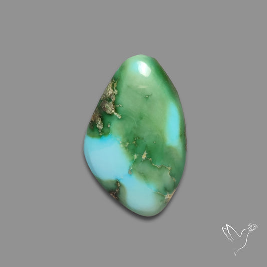 Sonoran Gold Turquoise Cabochon Rare