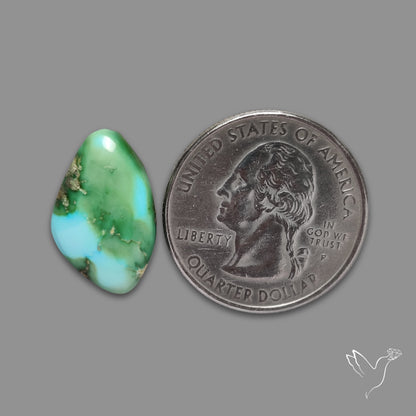 Sonoran Gold Turquoise Cabochon Rare