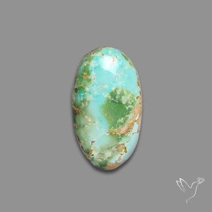 Sonoran Gold Turquoise Cabochon Rare