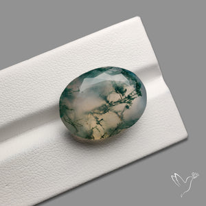Faceted Moss Agate