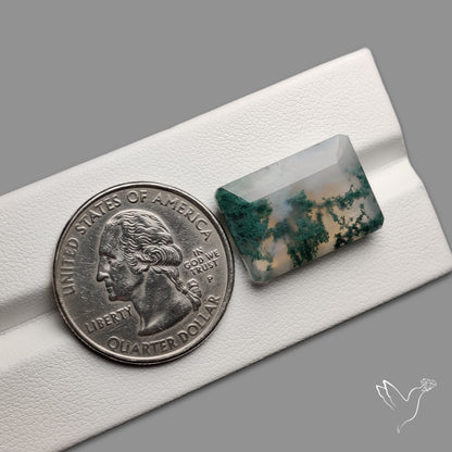 Faceted Moss Agate