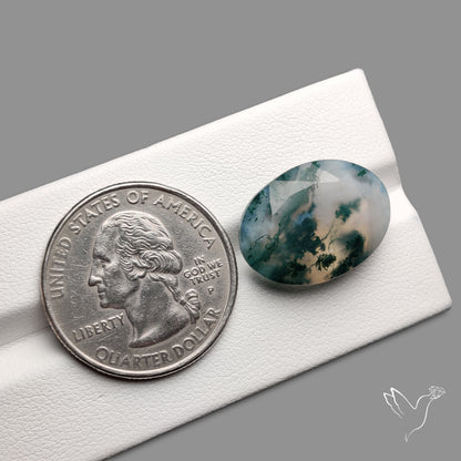 Faceted Moss Agate