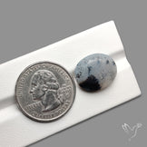 Faceted Dendritic Opal Gemstone