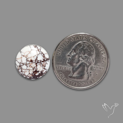 Wild Horse Jasper Cabochon