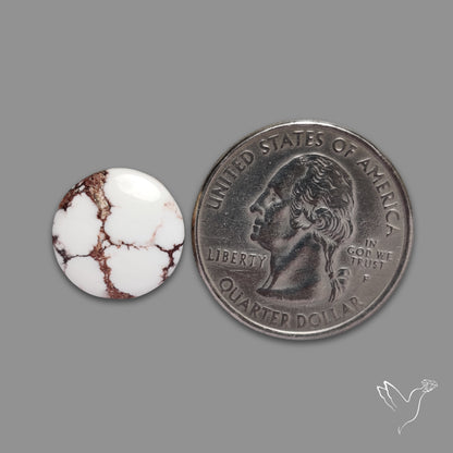 Wild Horse Jasper Cabochon
