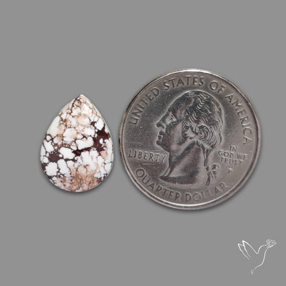 Wild Horse Jasper Cabochon