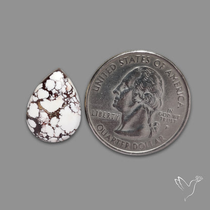 Wild Horse Jasper Cabochon