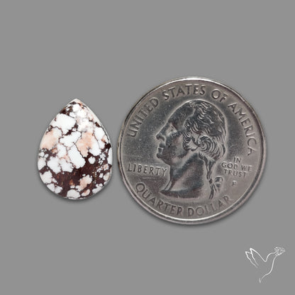 Wild Horse Jasper Cabochon