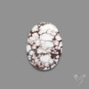 Wild Horse Jasper Cabochon