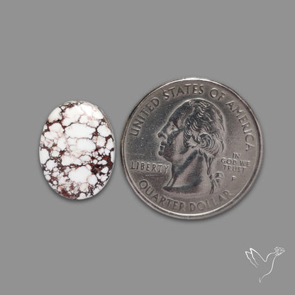 Wild Horse Jasper Cabochon