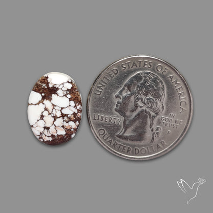 Wild Horse Jasper Cabochon