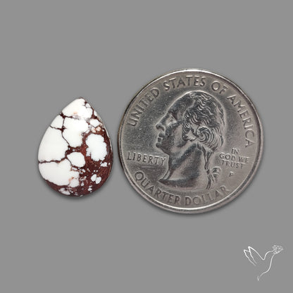 Wild Horse Jasper Cabochon