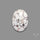 Wild Horse Jasper Cabochon