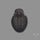 Trilobite Fossil