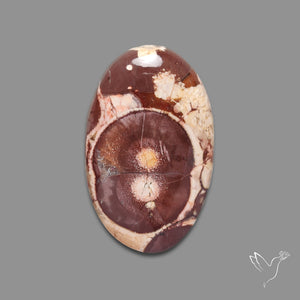 Bird Eye Jasper Cabochon