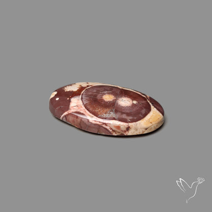 Bird Eye Jasper Cabochon
