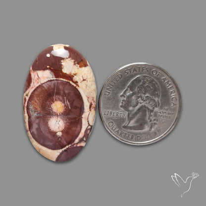 Bird Eye Jasper Cabochon