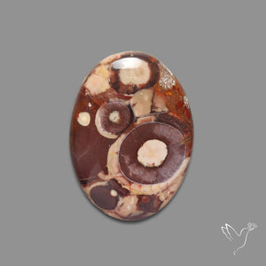 Bird Eye Jasper Cabochon