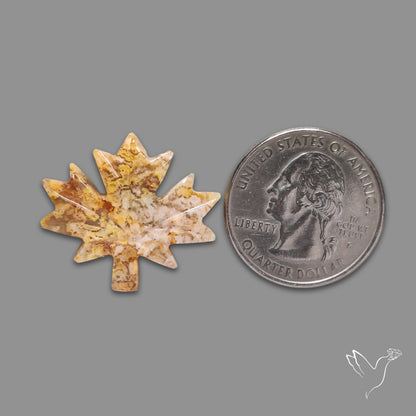 Plume Agate Maple Leaf Carving