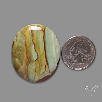 Large Green Owyhee Picture Jasper