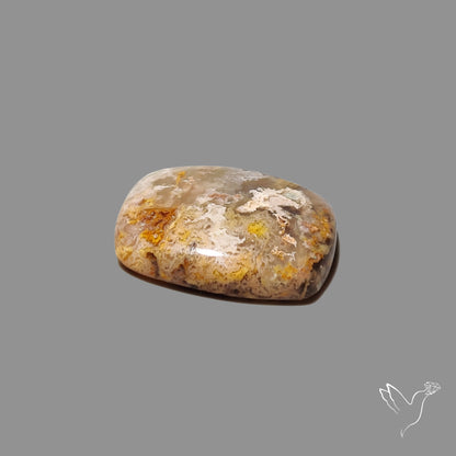 Northridge Plume Agate Cabochon