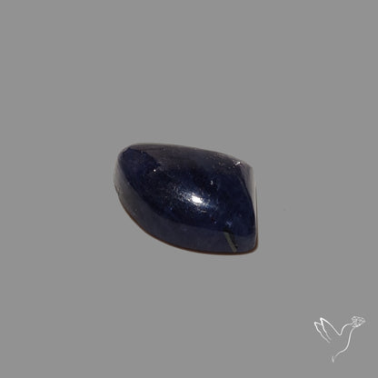 Bloodshot Iolite In Sunstone