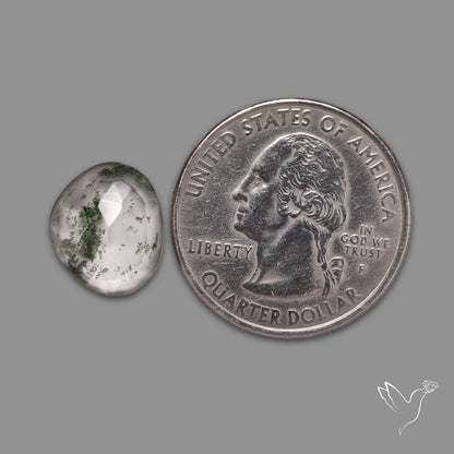 Rare Chlorite in Quartz Rose Cut