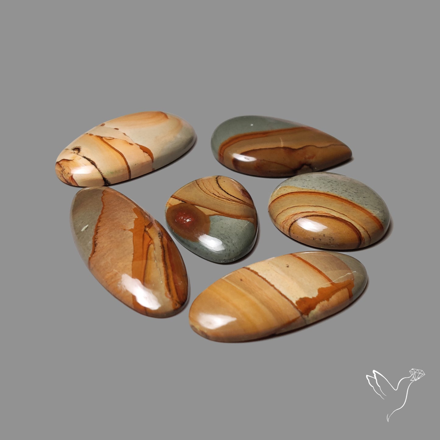 Owyhee Picture Jaspers Lot