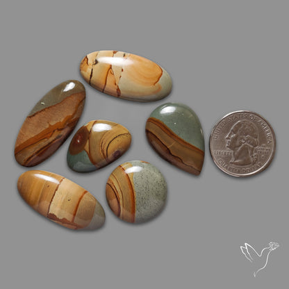 Owyhee Picture Jaspers Lot