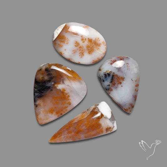 Russian Dendritic Agates Lot