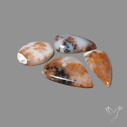 Russian Dendritic Agates Lot