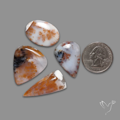 Russian Dendritic Agates Lot
