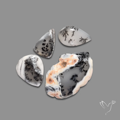 Dendritic Agates Lot